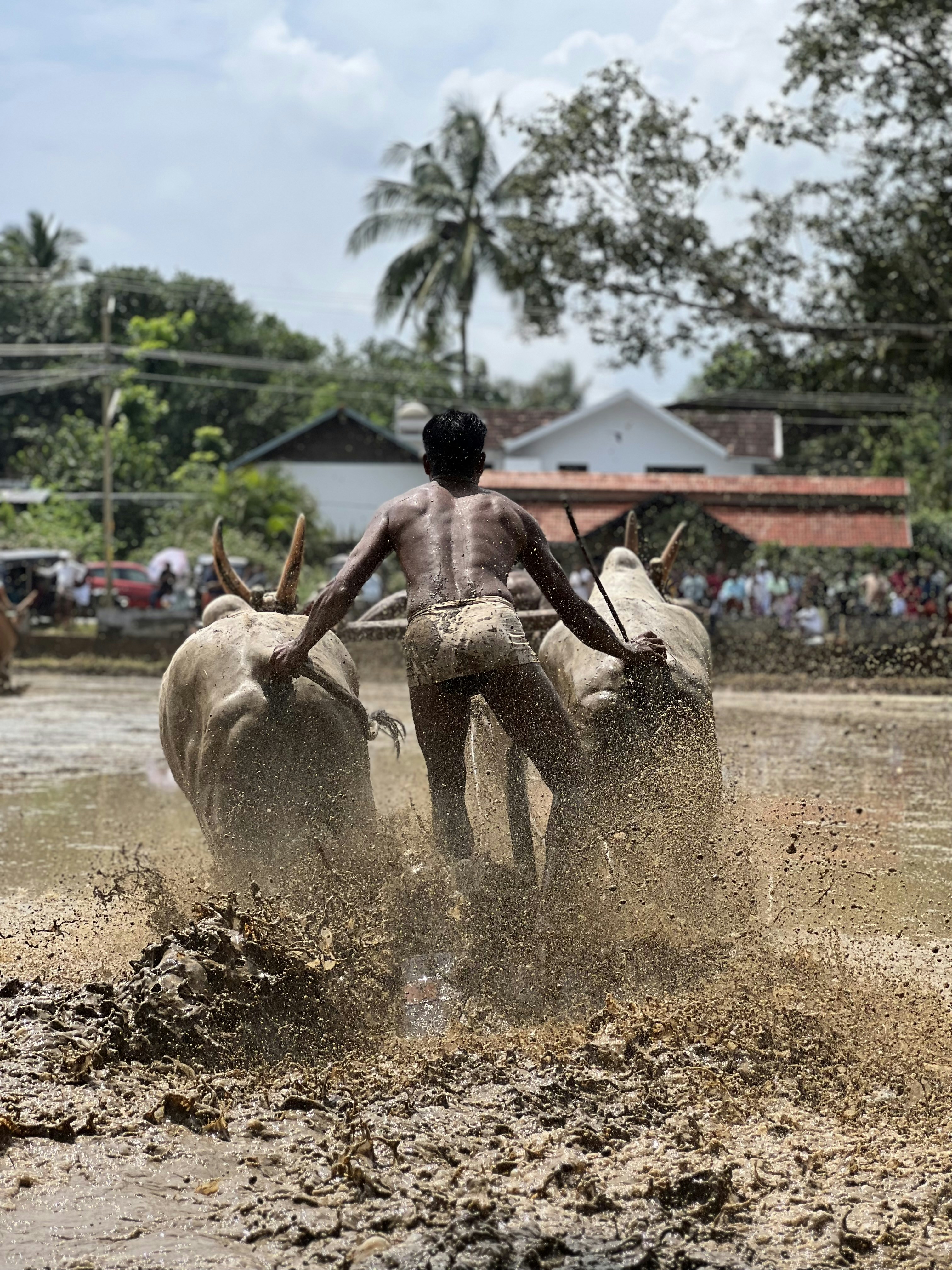 Photo by anandviswanath