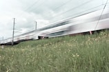 A high-speed train moves rapidly along rail tracks next to a grassy area dotted with yellow wildflowers. The motion blur of the train creates a sense of speed and dynamism. Overhead cables and pylons are visible against a cloudy sky.