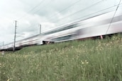 A high-speed train moves rapidly along rail tracks next to a grassy area dotted with yellow wildflowers. The motion blur of the train creates a sense of speed and dynamism. Overhead cables and pylons are visible against a cloudy sky.
