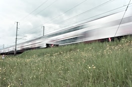 A high-speed train moves rapidly along rail tracks next to a grassy area dotted with yellow wildflowers. The motion blur of the train creates a sense of speed and dynamism. Overhead cables and pylons are visible against a cloudy sky.