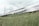 A high-speed train moves rapidly along rail tracks next to a grassy area dotted with yellow wildflowers. The motion blur of the train creates a sense of speed and dynamism. Overhead cables and pylons are visible against a cloudy sky.
