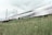 A high-speed train moves rapidly along rail tracks next to a grassy area dotted with yellow wildflowers. The motion blur of the train creates a sense of speed and dynamism. Overhead cables and pylons are visible against a cloudy sky.