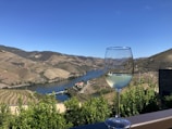 A scenic view of a vineyard landscape with rolling hills and a river running through the valley. In the foreground, a glass of white wine is perched on a railing, partially reflecting the countryside.