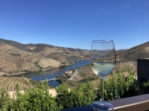 A scenic view of a vineyard landscape with rolling hills and a river running through the valley. In the foreground, a glass of white wine is perched on a railing, partially reflecting the countryside.