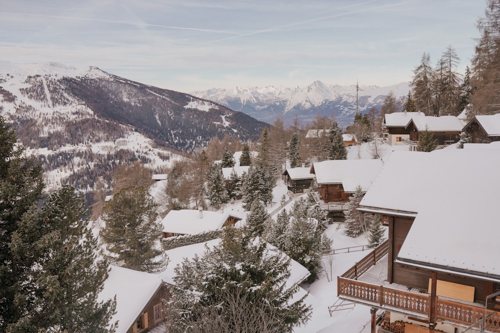 a snowy town with trees and mountains