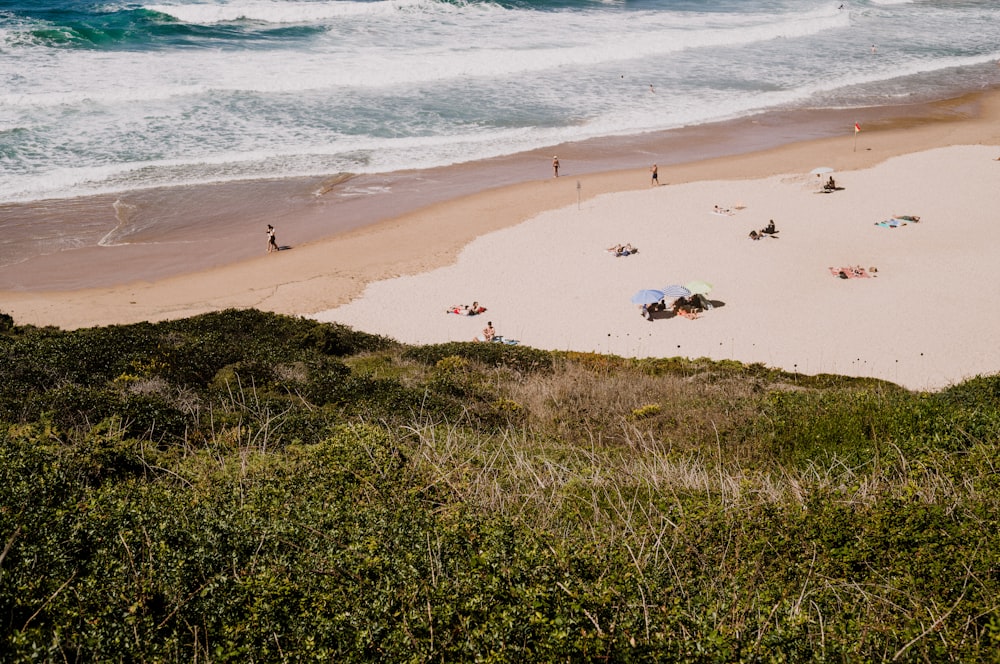 a beach with people and umbrellas