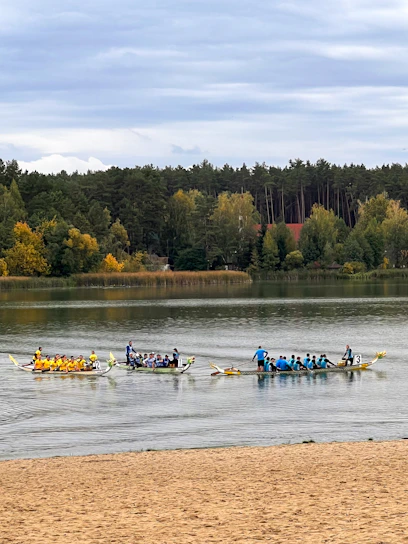 A dynamic dragon boat team paddling fiercely across shimmering water under a clear sky.
