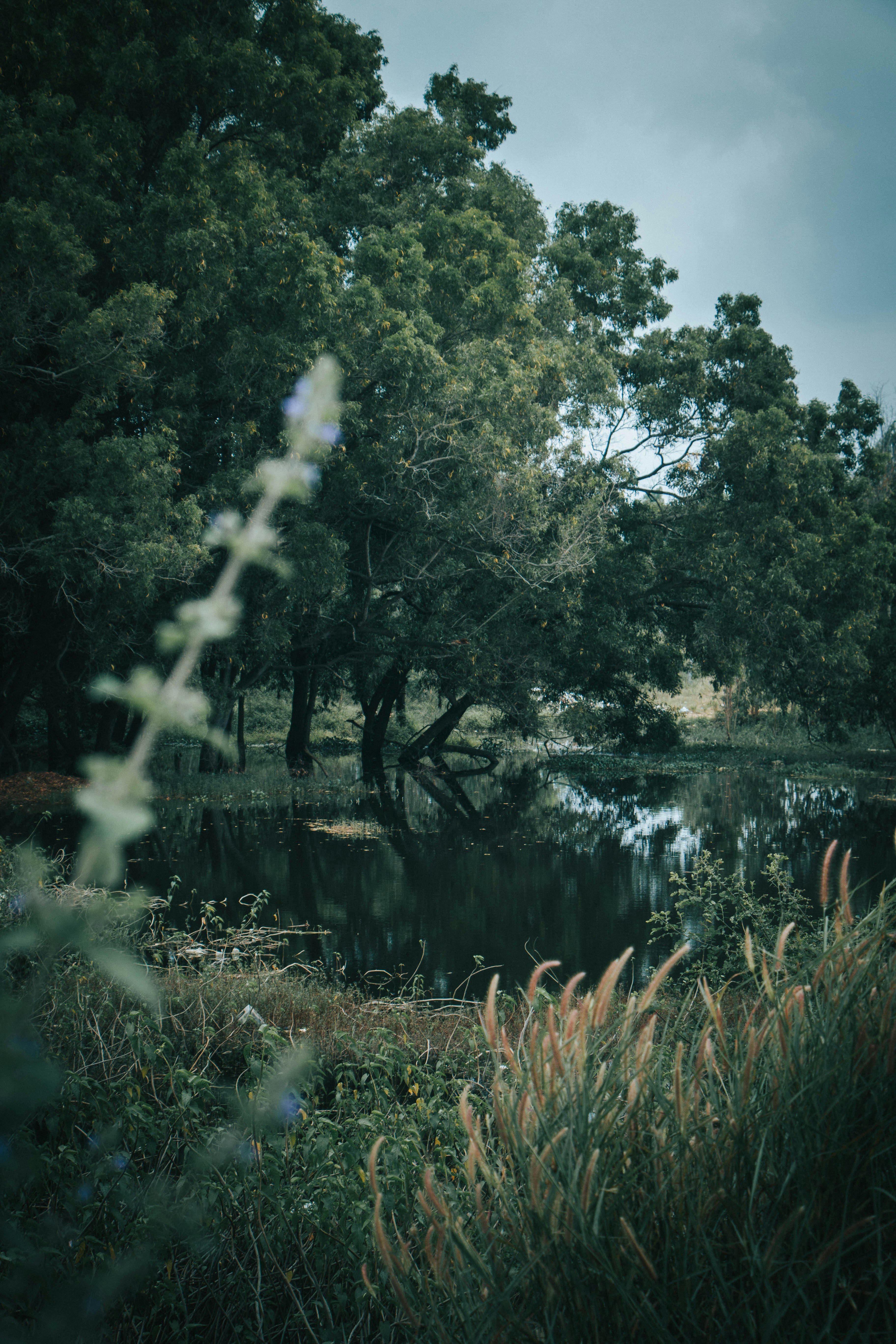 Photo by rishabh_mathew