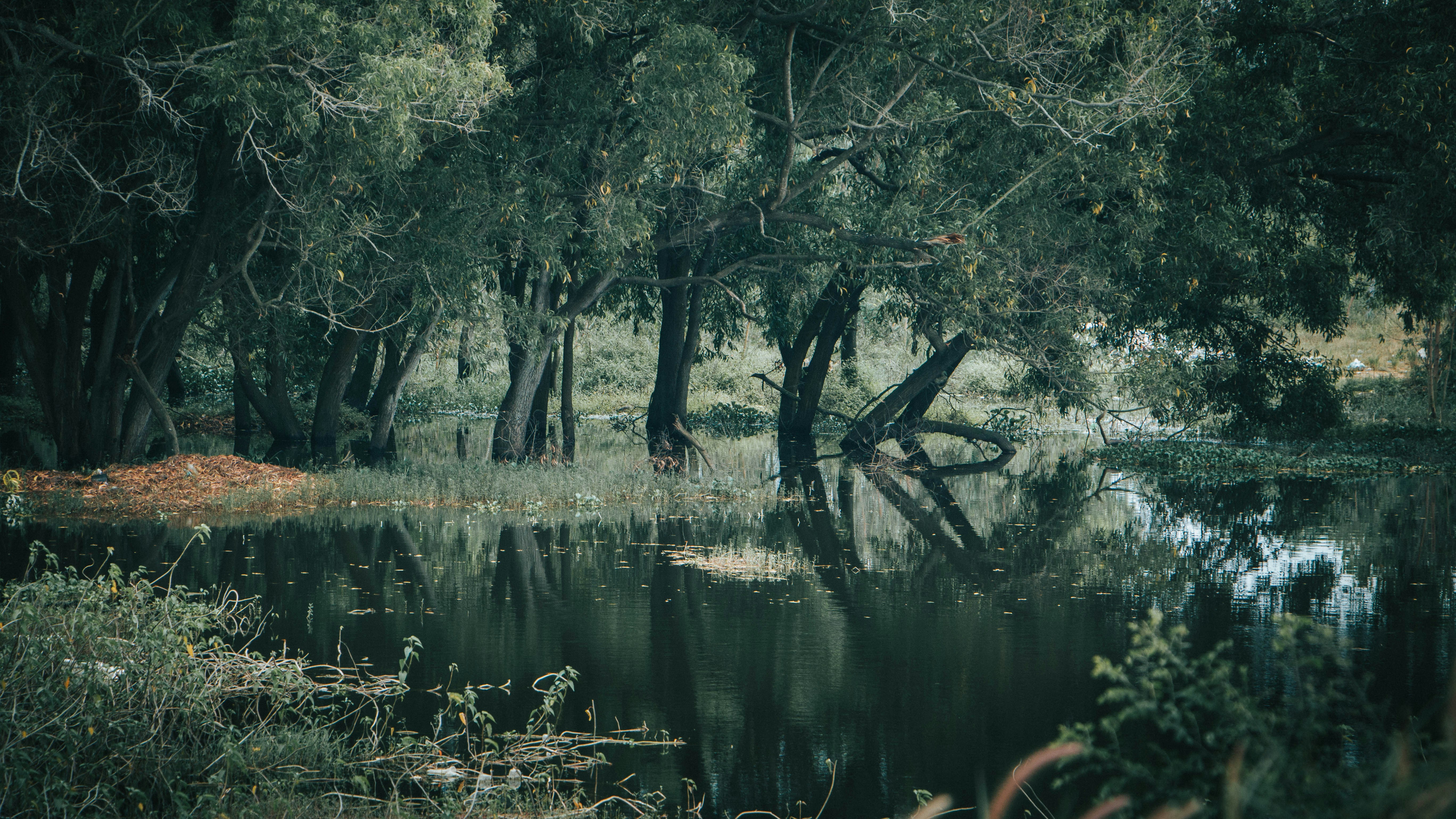 Photo by rishabh_mathew