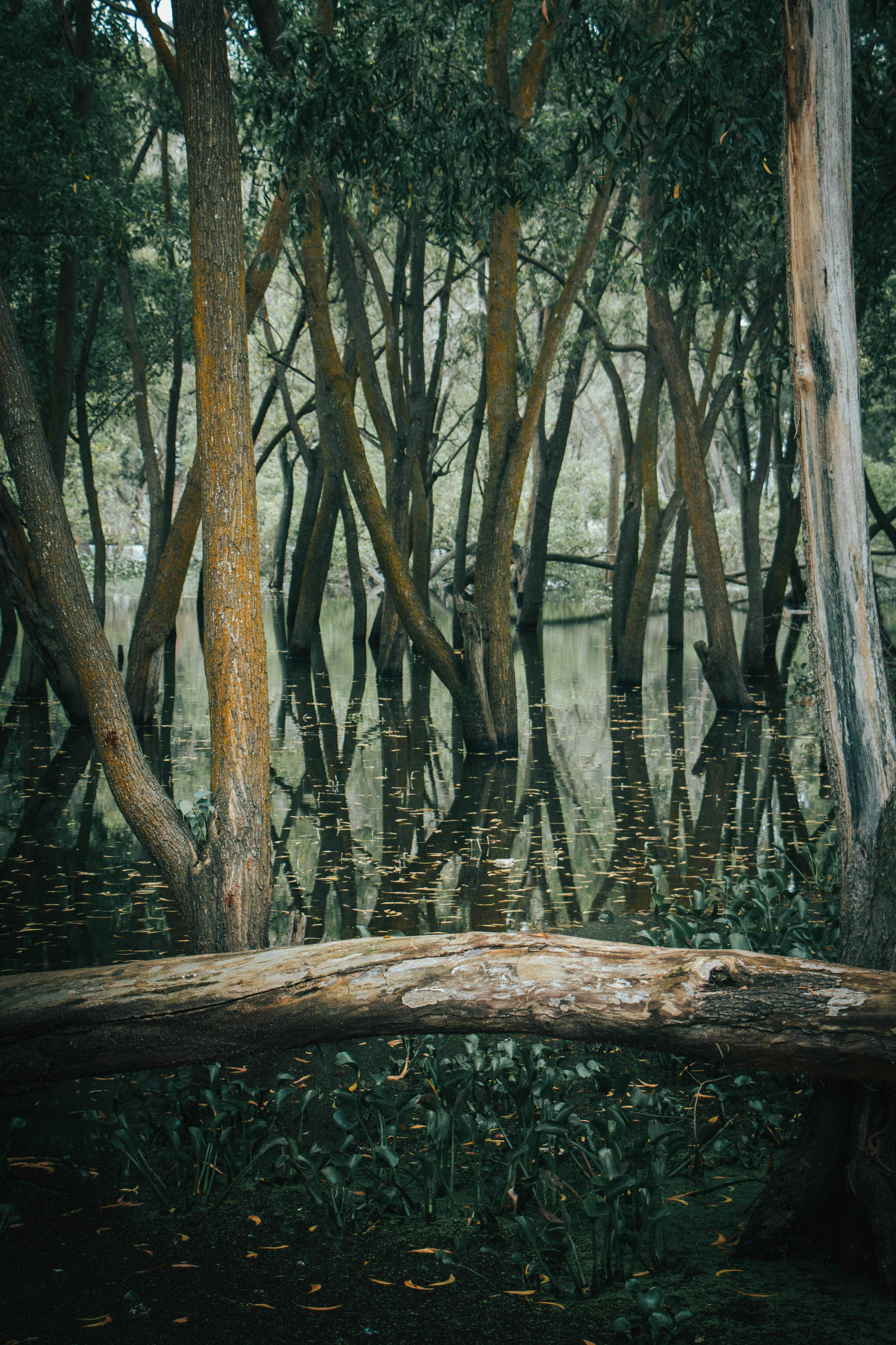 Photo by rishabh_mathew