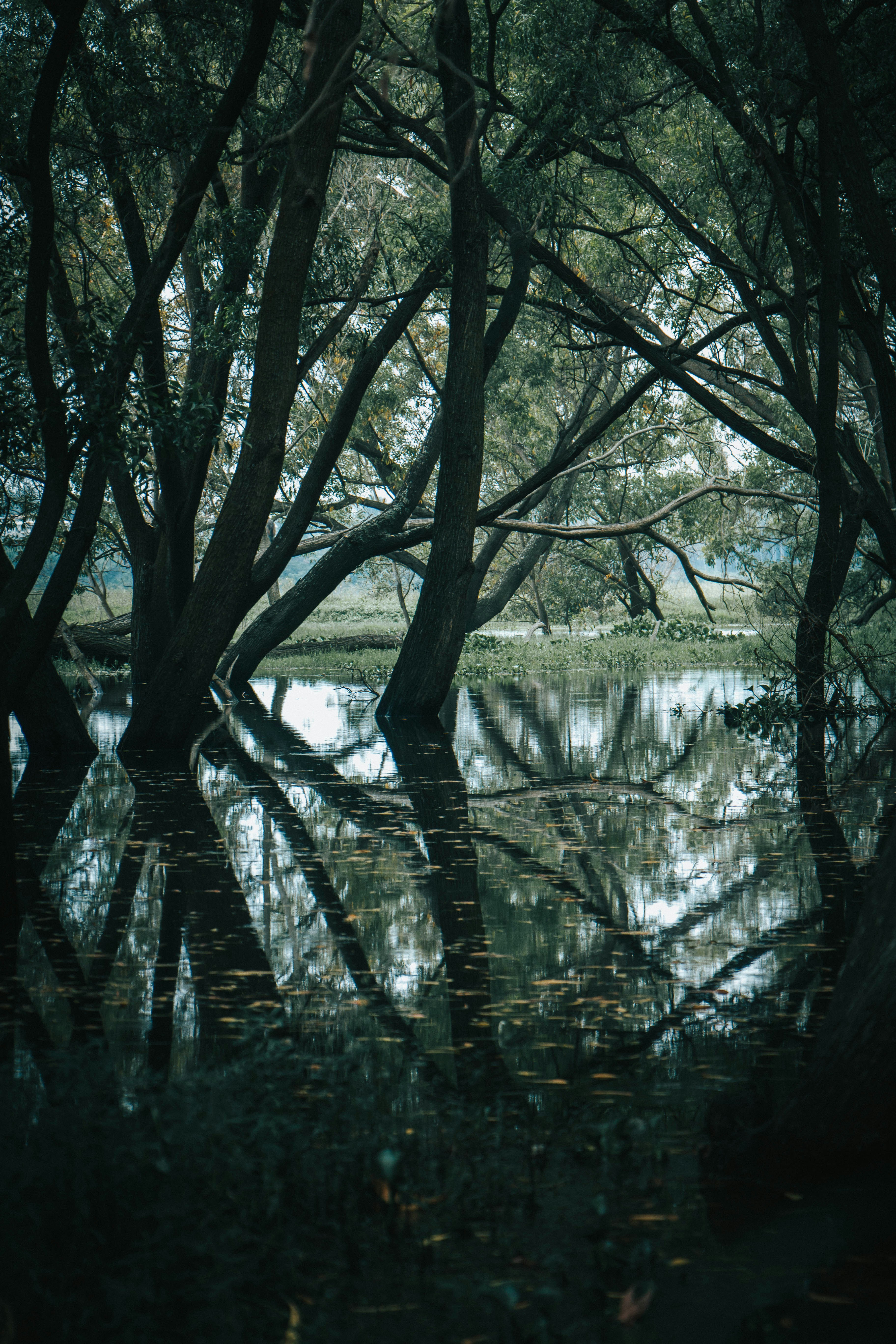 Photo by rishabh_mathew