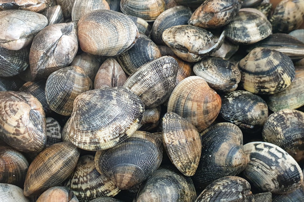 a pile of coffee beans