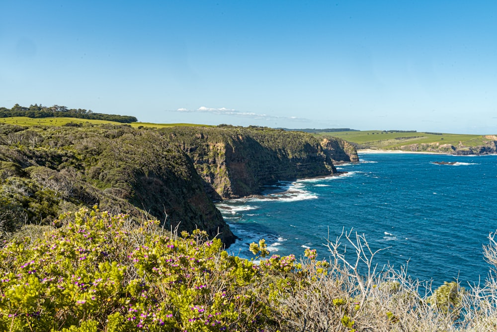 a rocky coast line