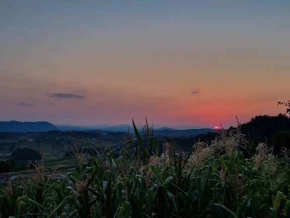 Evening sky glowing over a peaceful farmhouse with distant hills in the background.