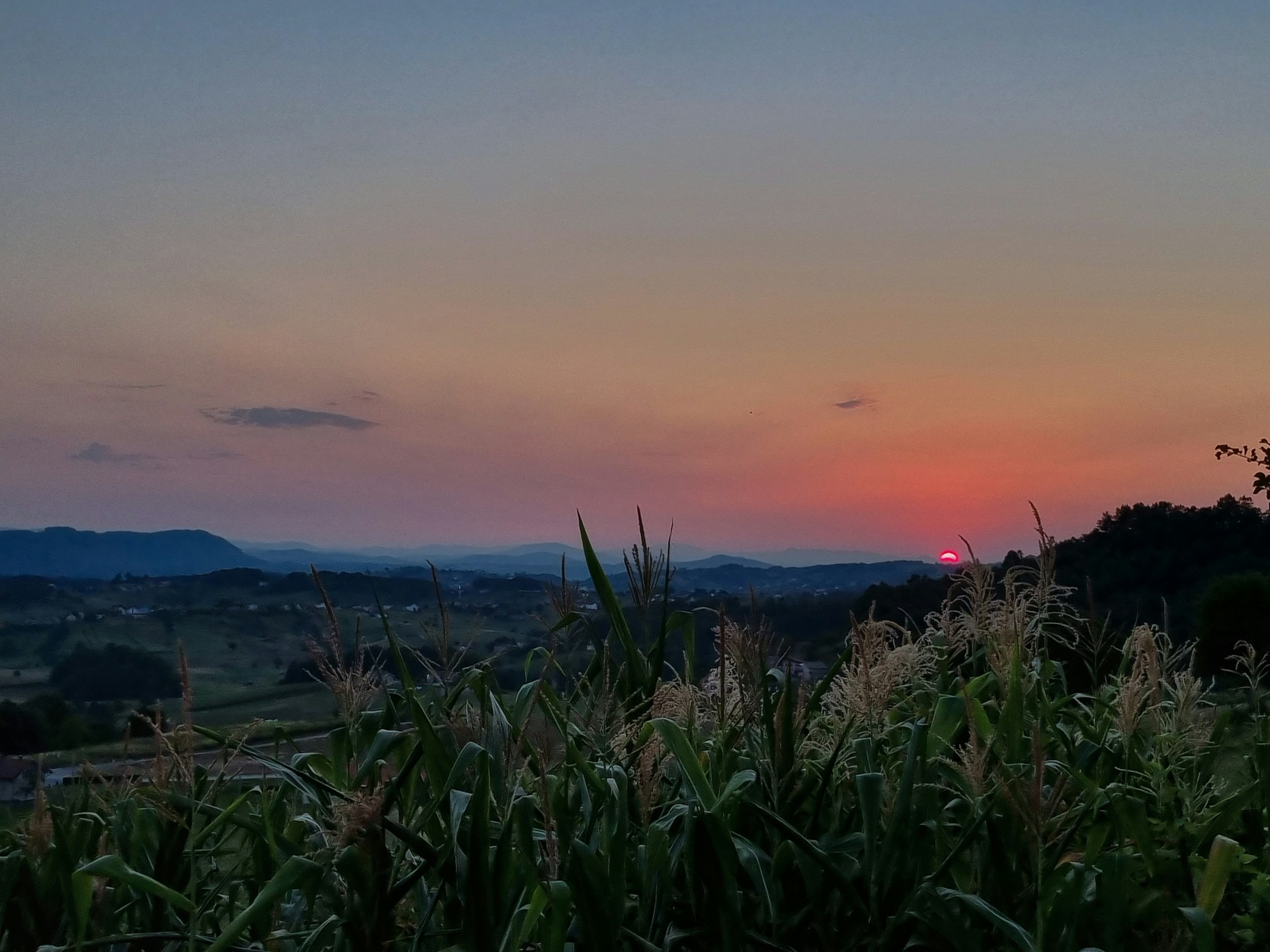 woman wearing yellow long-sleeved dress under white clouds and blue sky during daytime