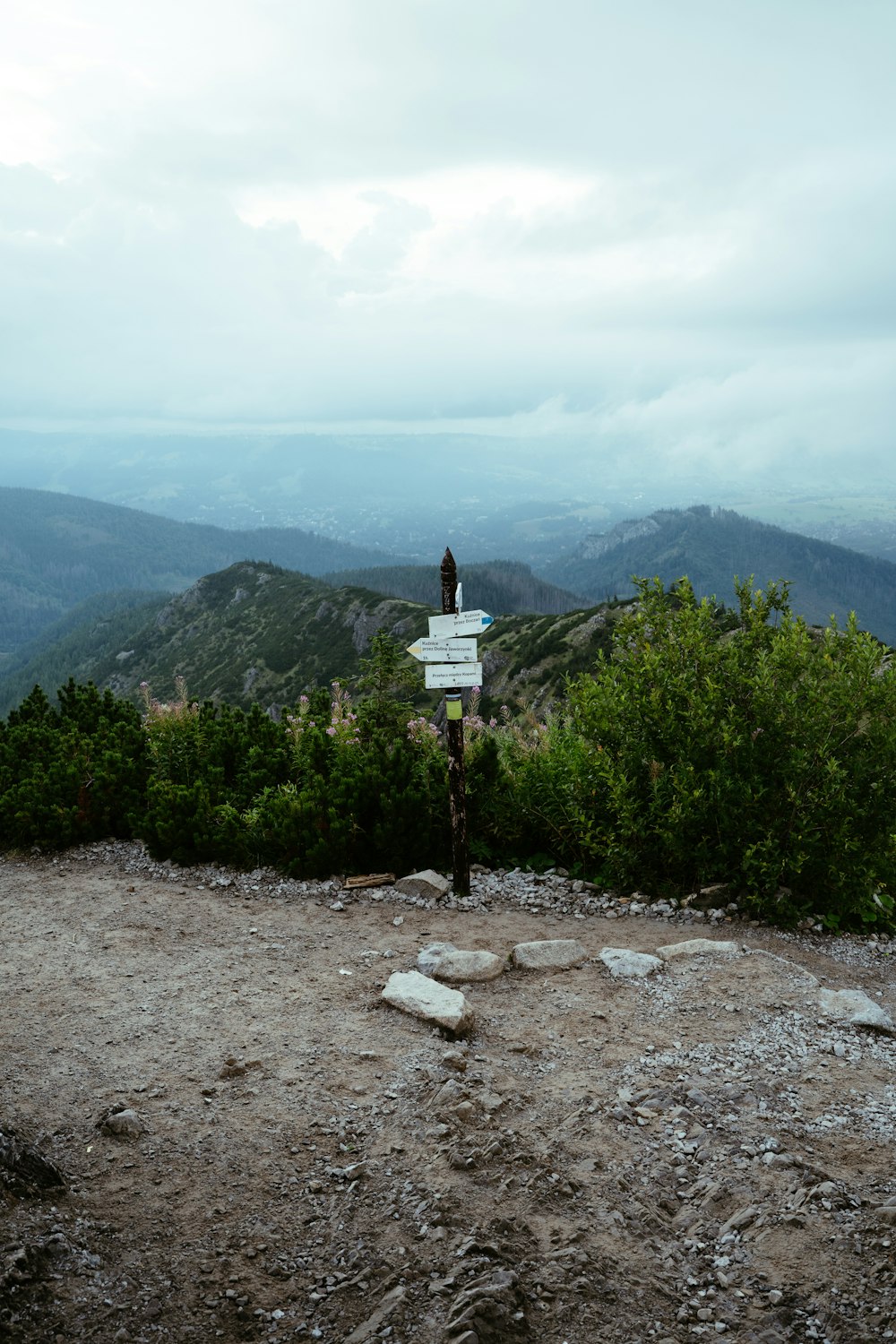 a sign on a rocky hill