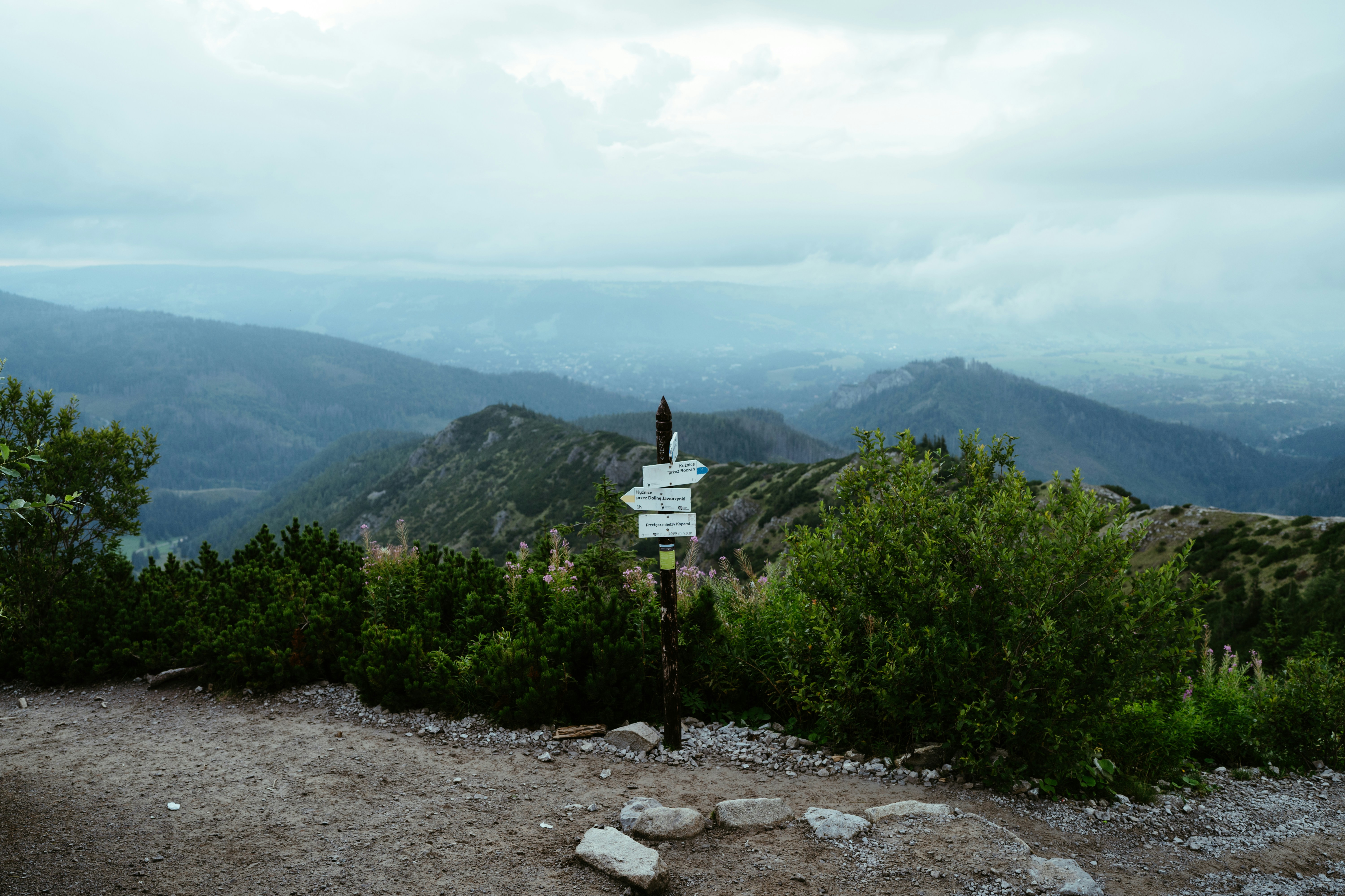 a sign on a rocky hill