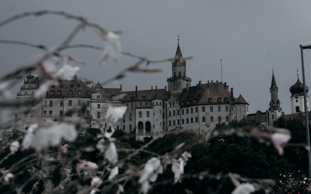 um grande edifício com muitas janelas