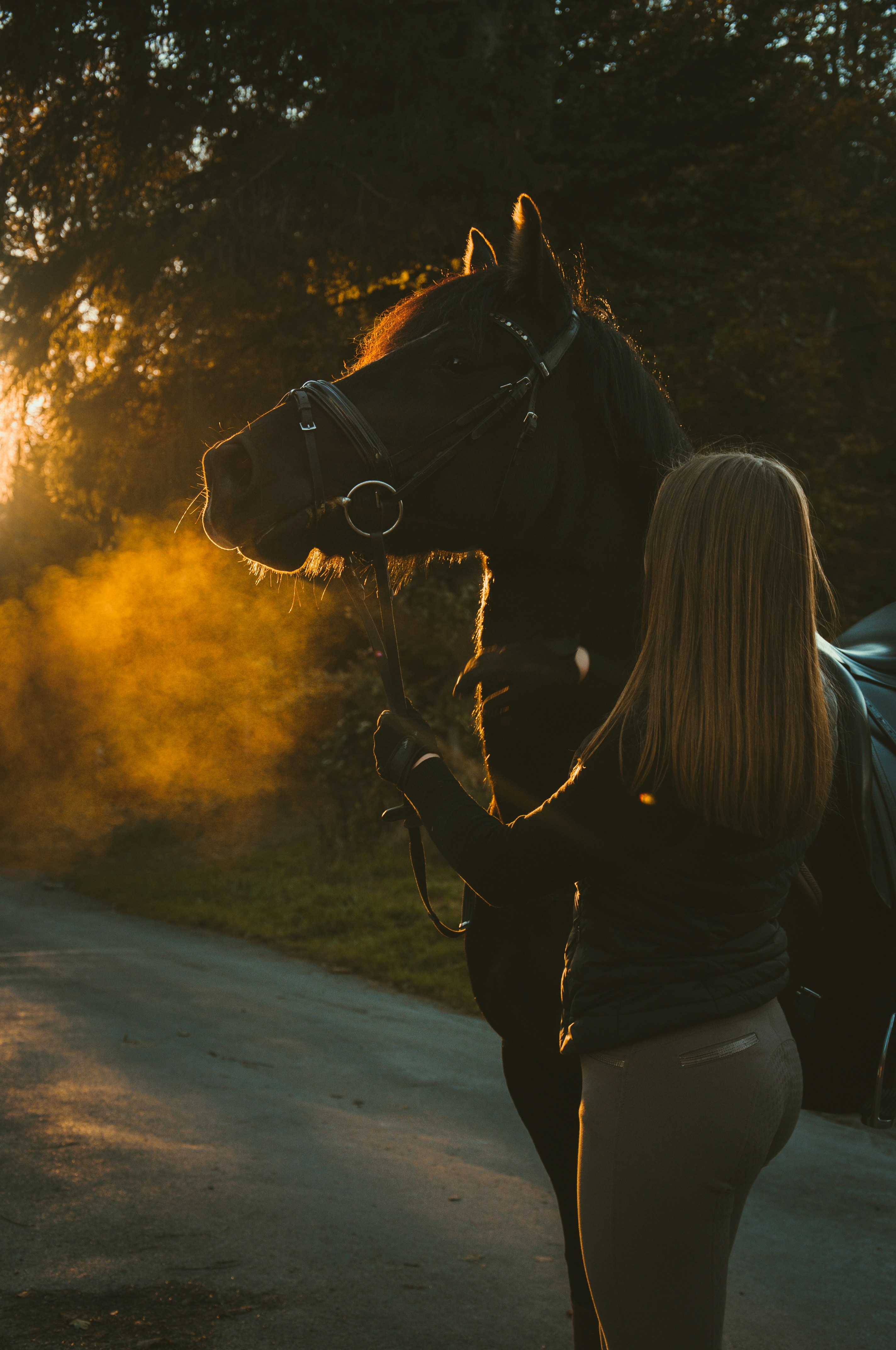 a person holding a horse