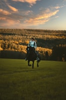a man riding a horse