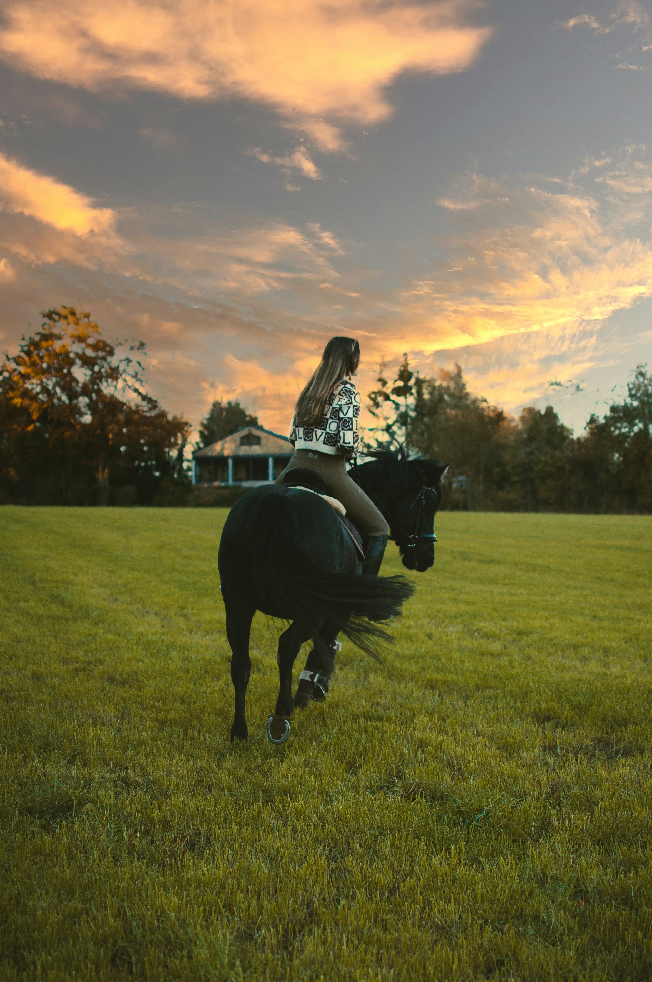 a person riding a horse