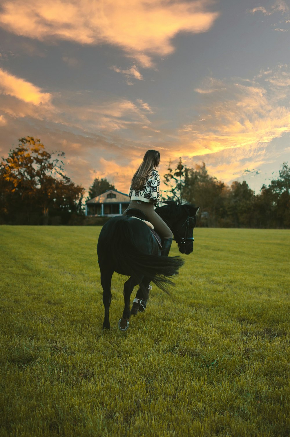 a person riding a horse