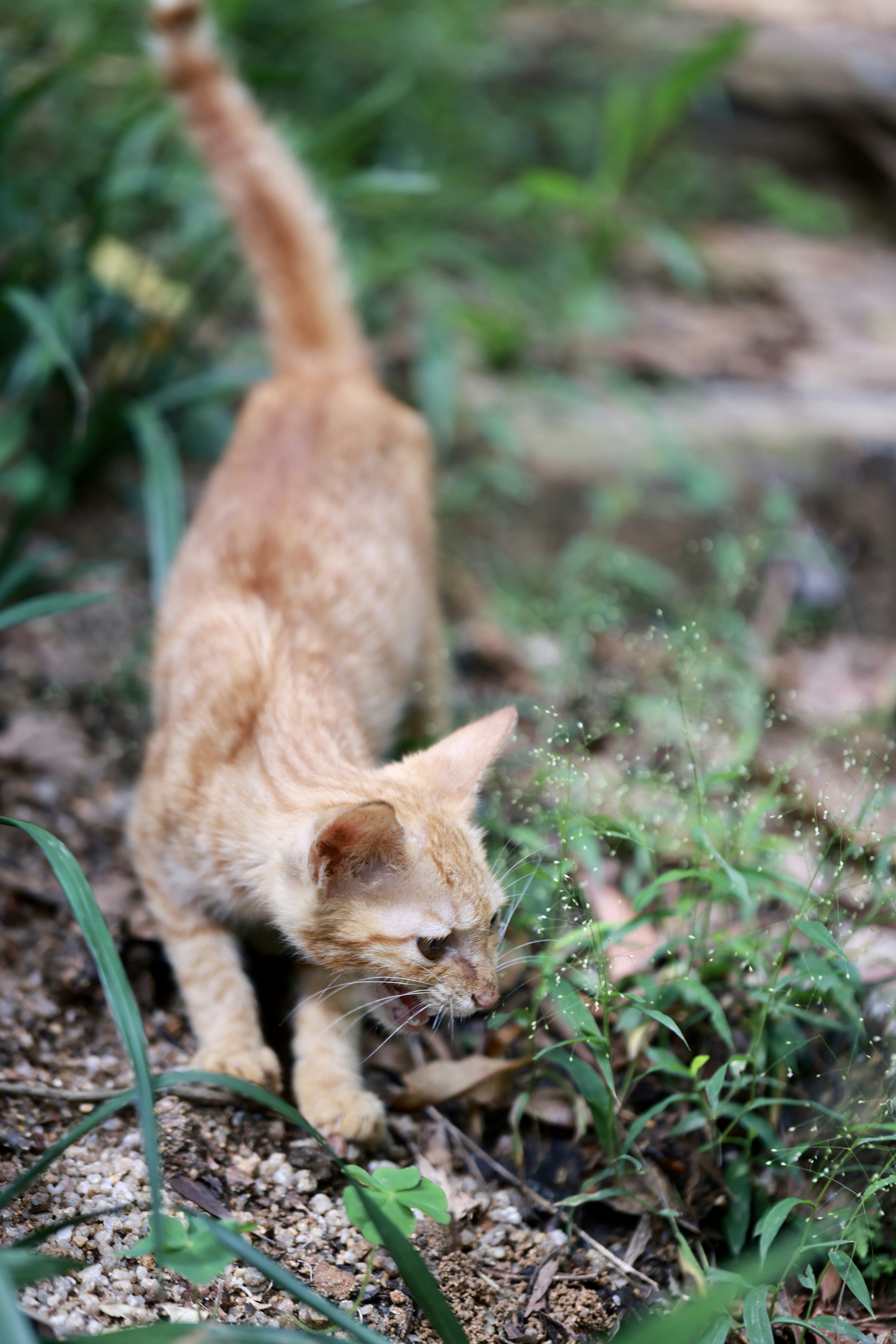 Photo by dickenslin76