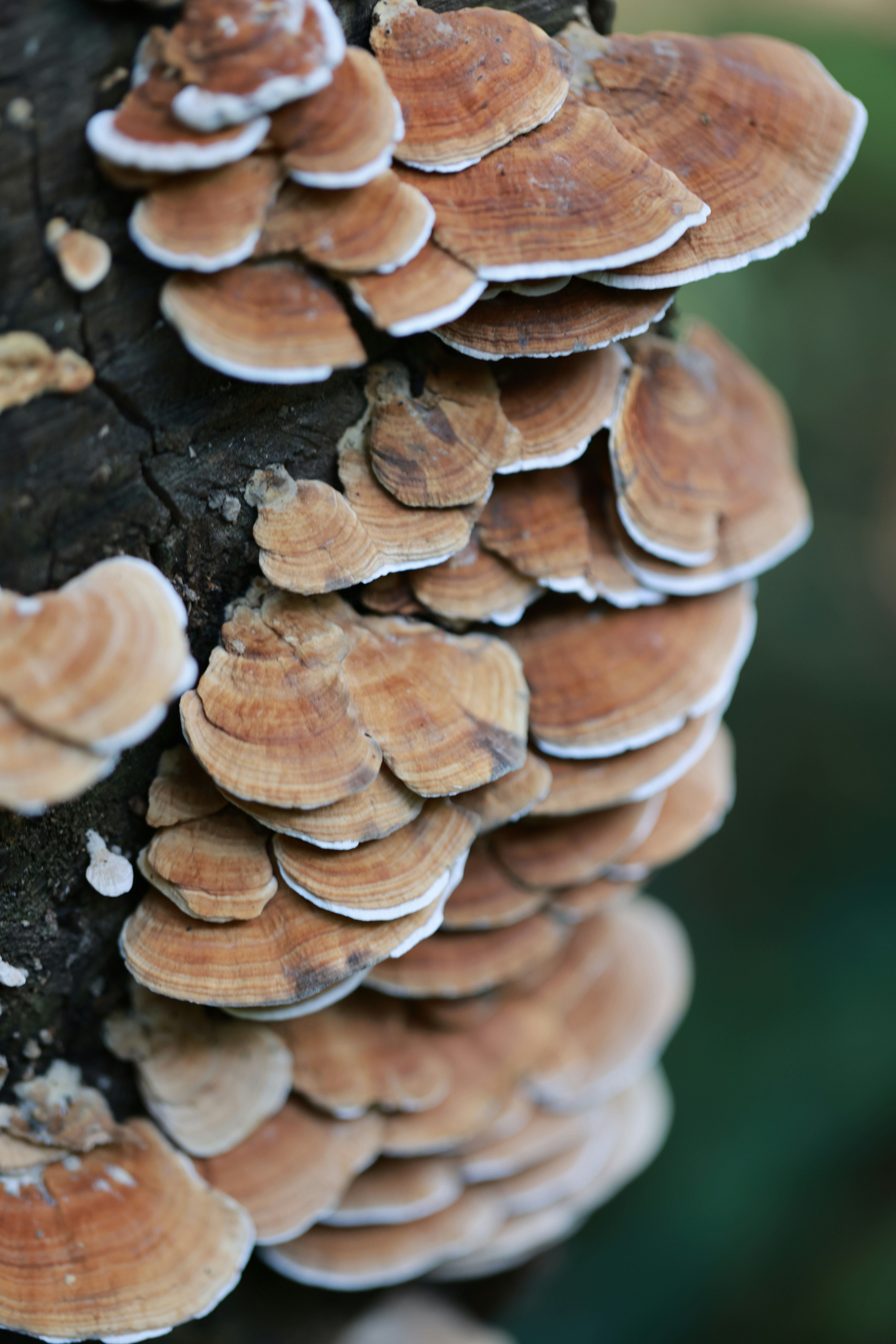 Photo by dickenslin76