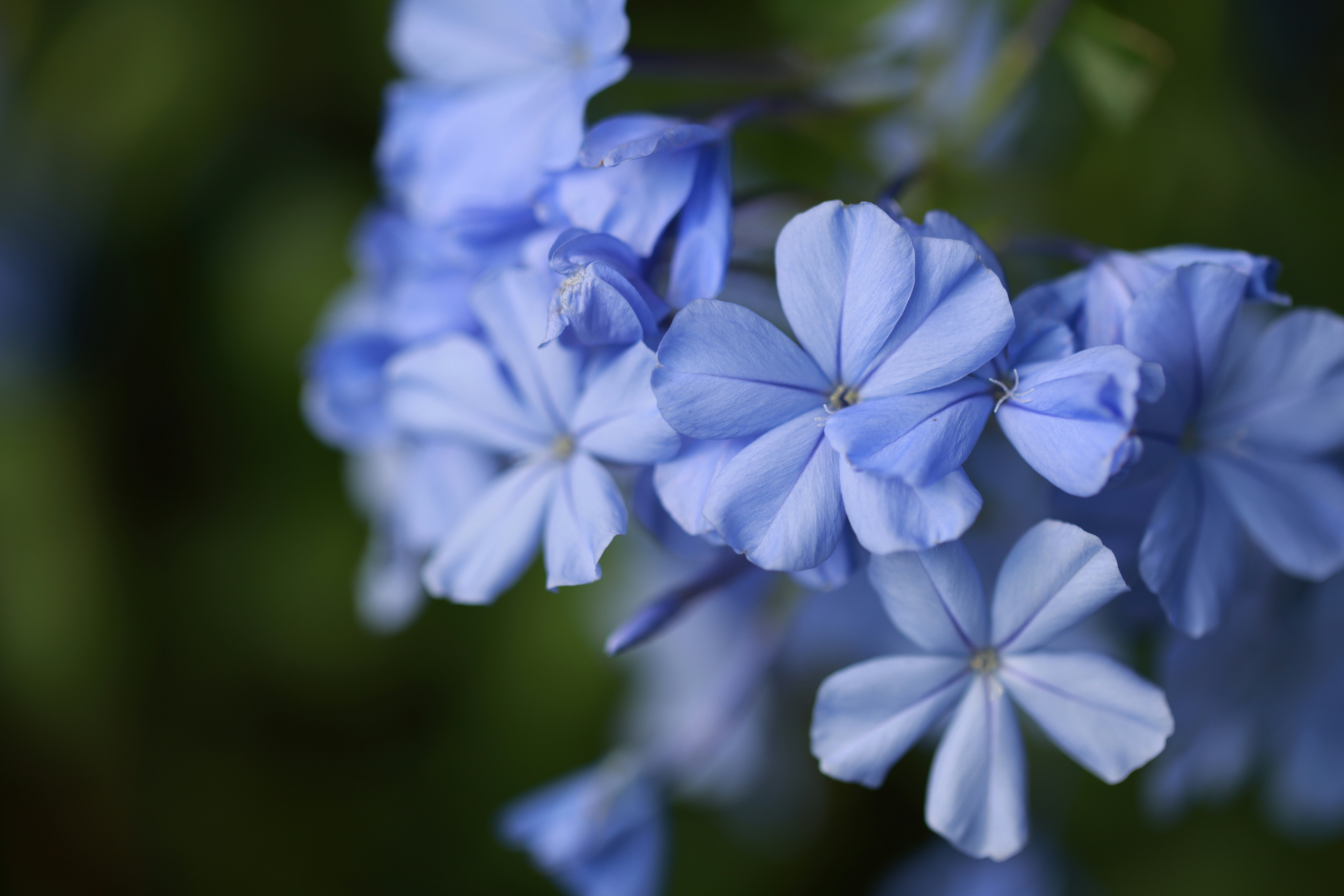 Photo by dickenslin76