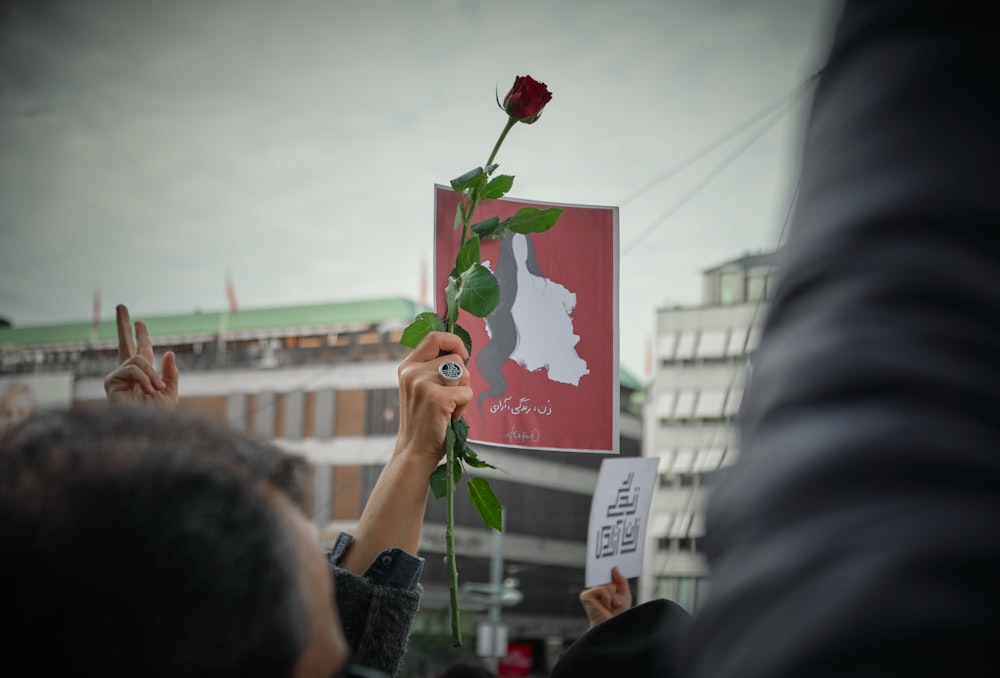 a person holding a flower