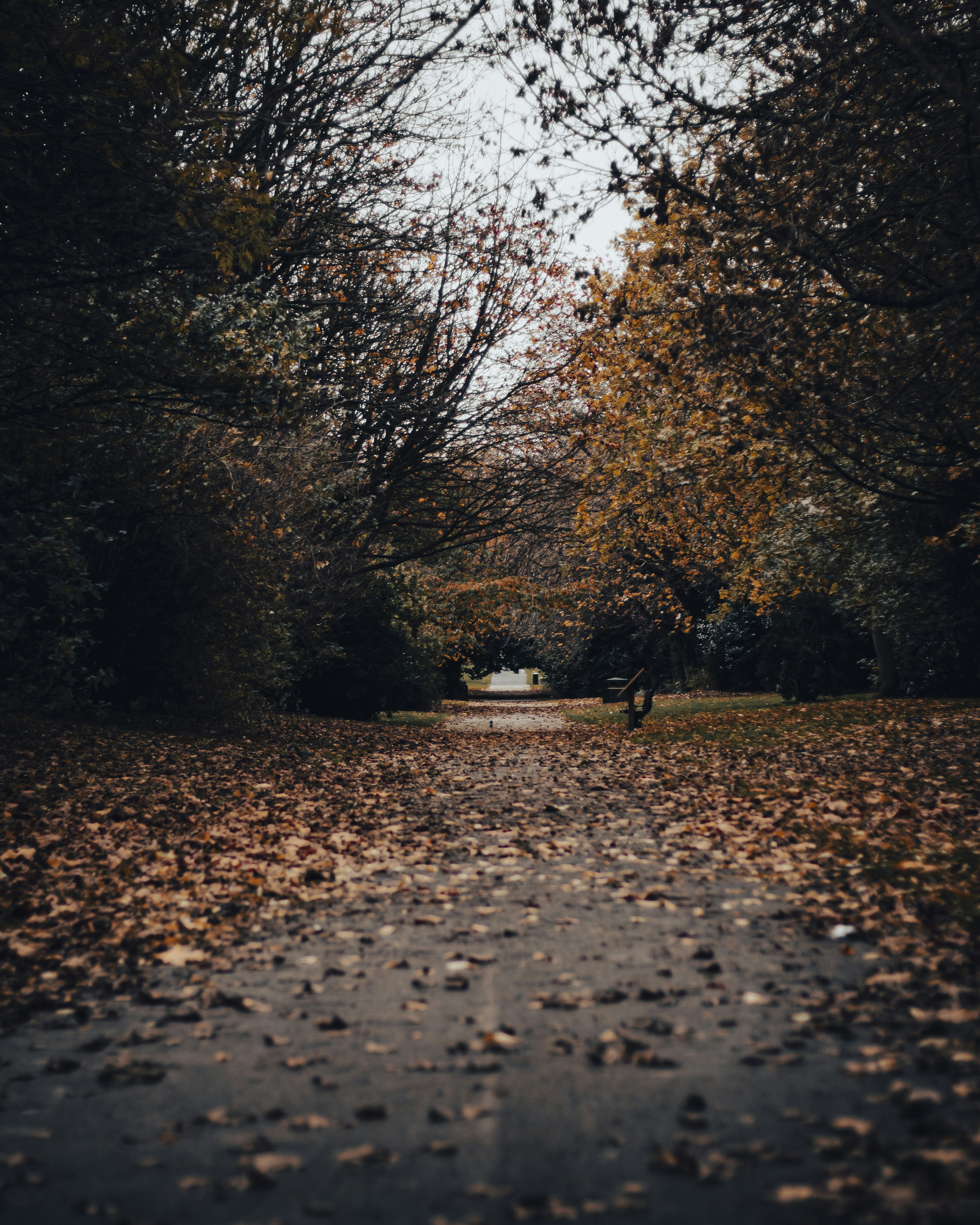 Photo by bobby_g_visuals