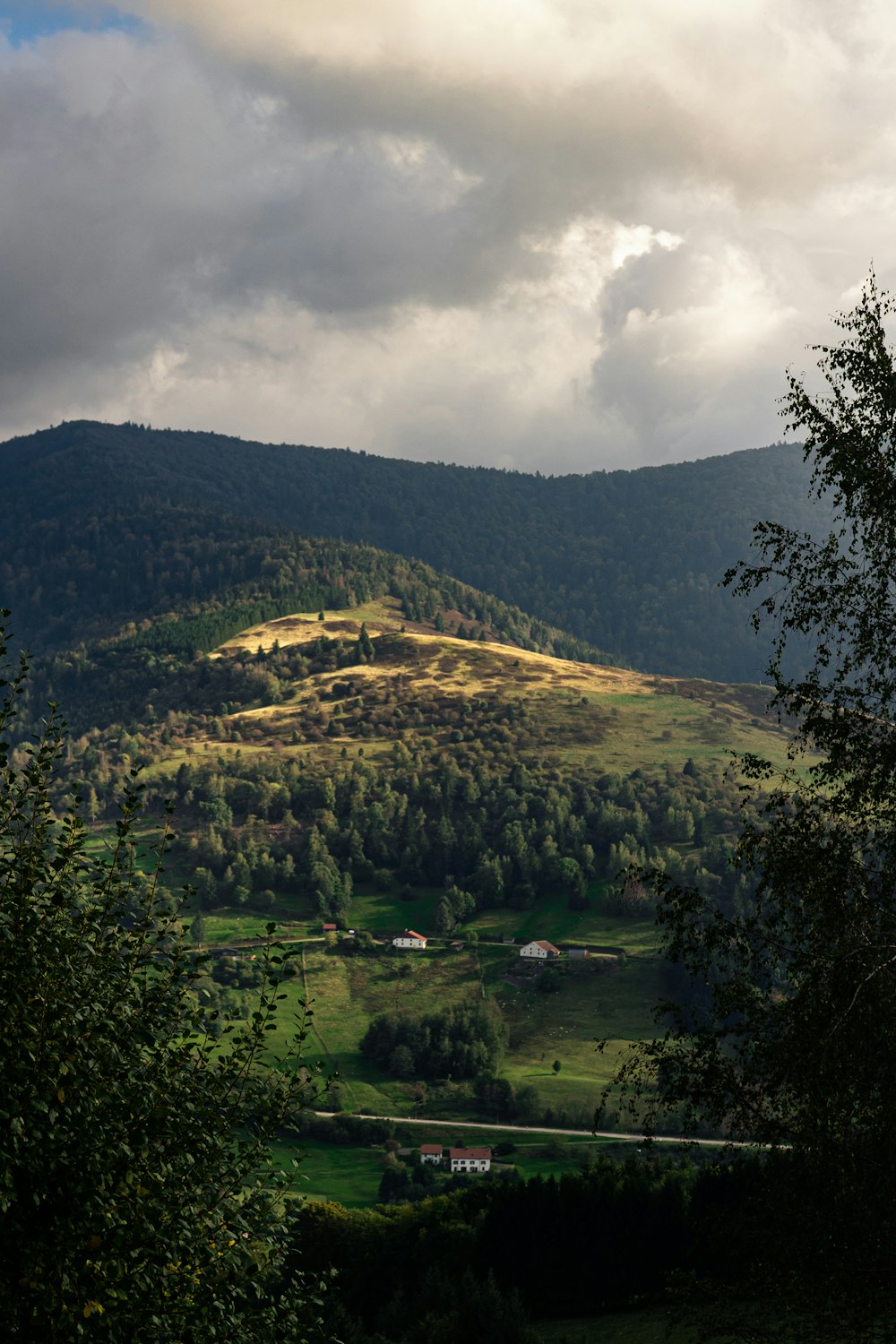 a landscape with trees and hills