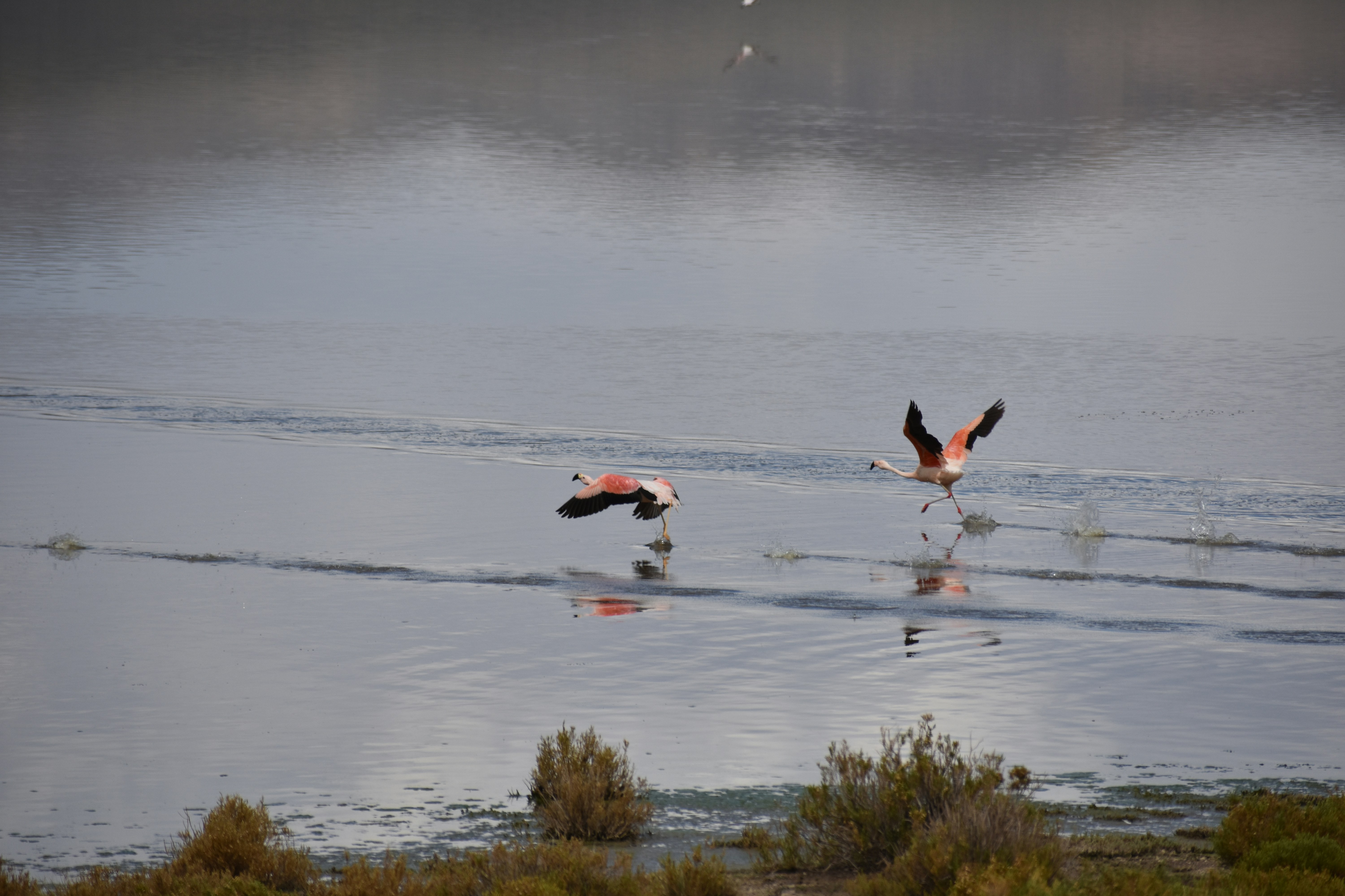 Photo by matheus_oliveira