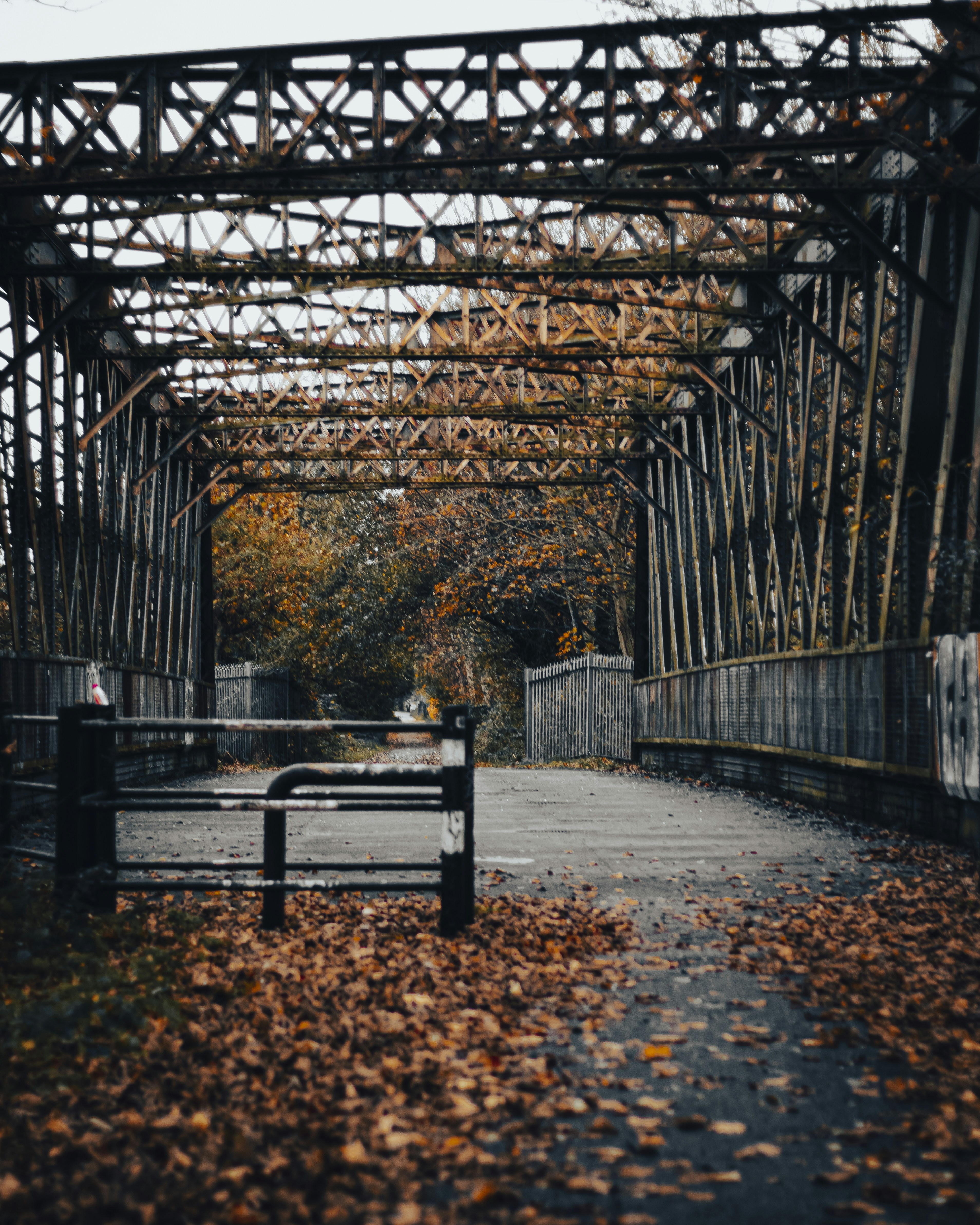 Photo by bobby_g_visuals