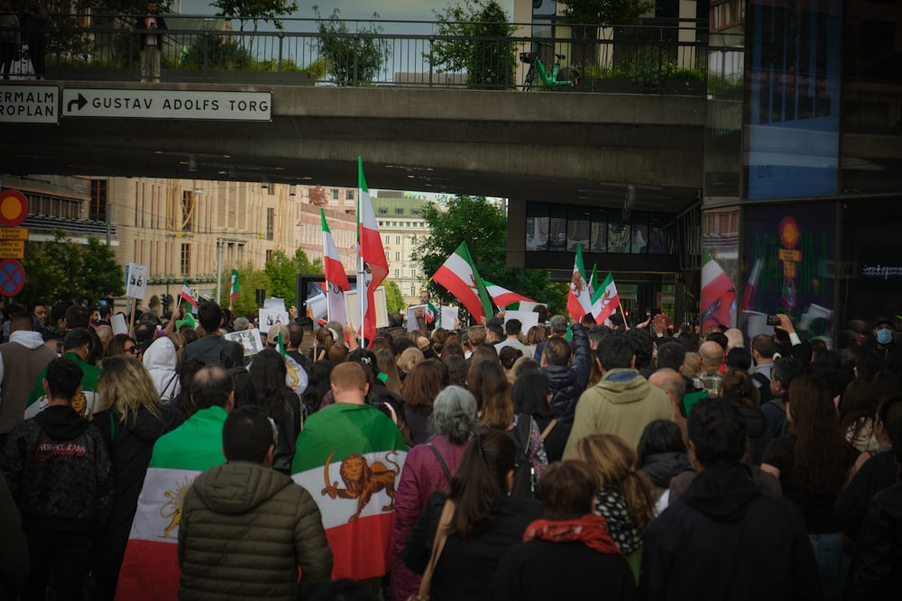 a crowd of people holding flags