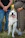 a dog sitting on grass with people standing around