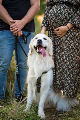 a dog sitting on grass with people standing around
