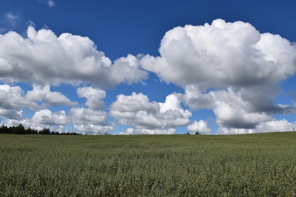 a large grassy field with clouds above