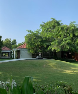 a house with a large tree in the front yard