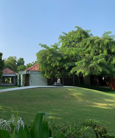 a house with a large tree in the front yard