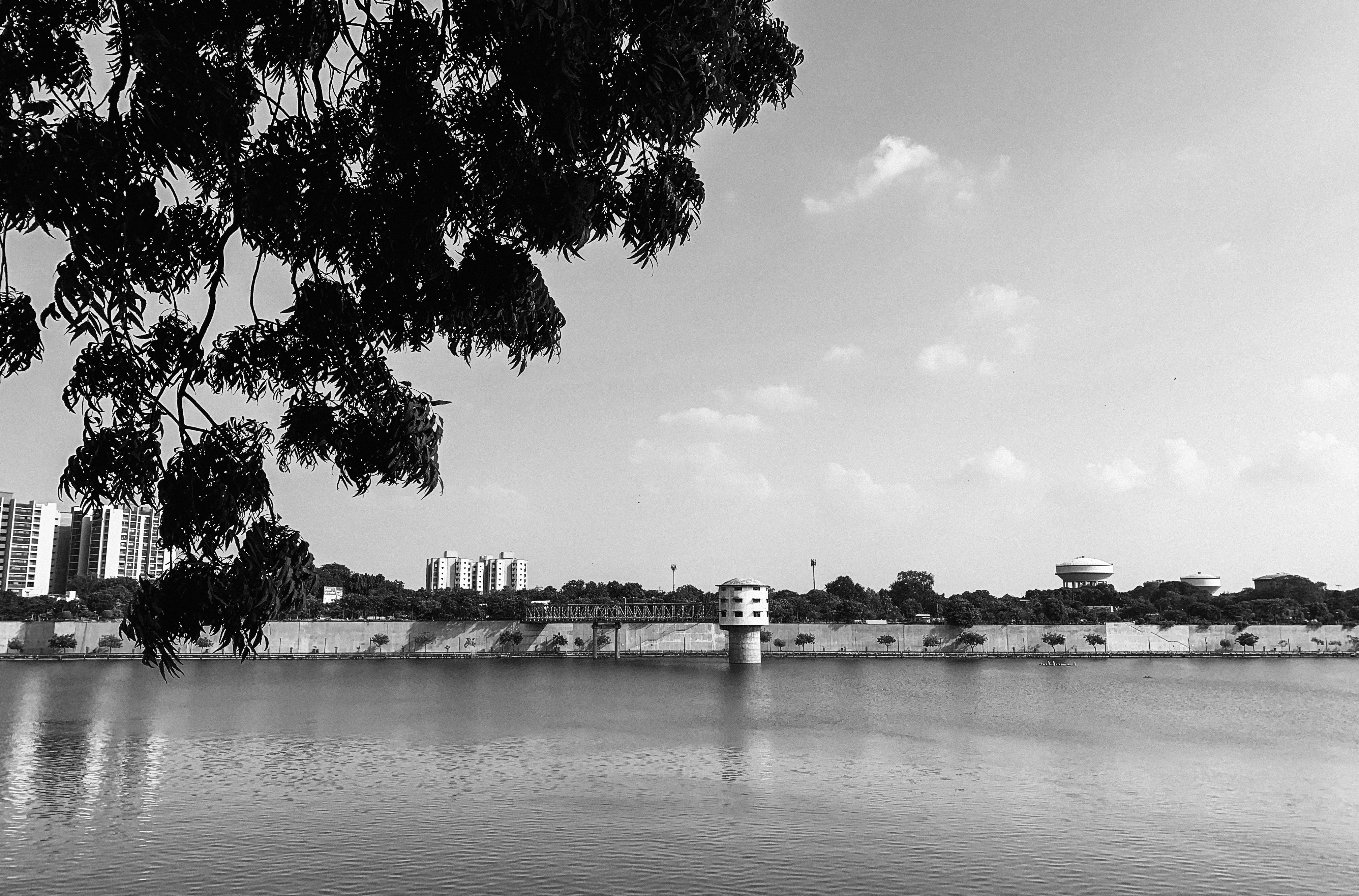 Photo by akshar_dave