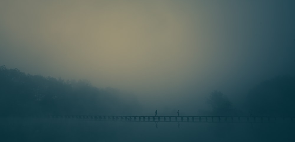 a foggy landscape with trees