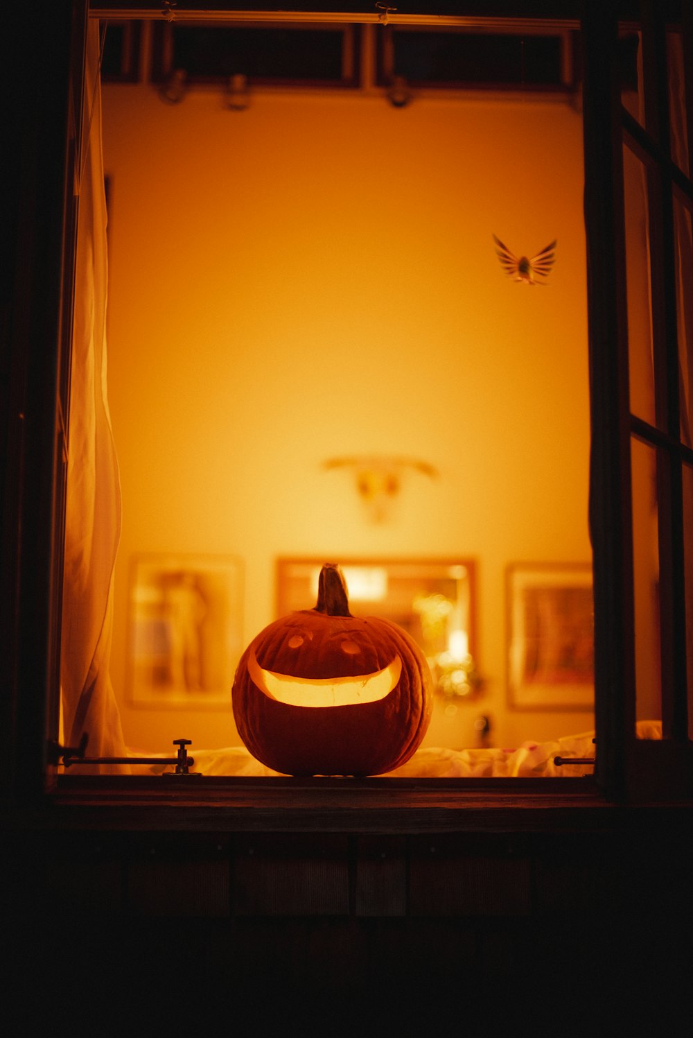 a pumpkin on a shelf