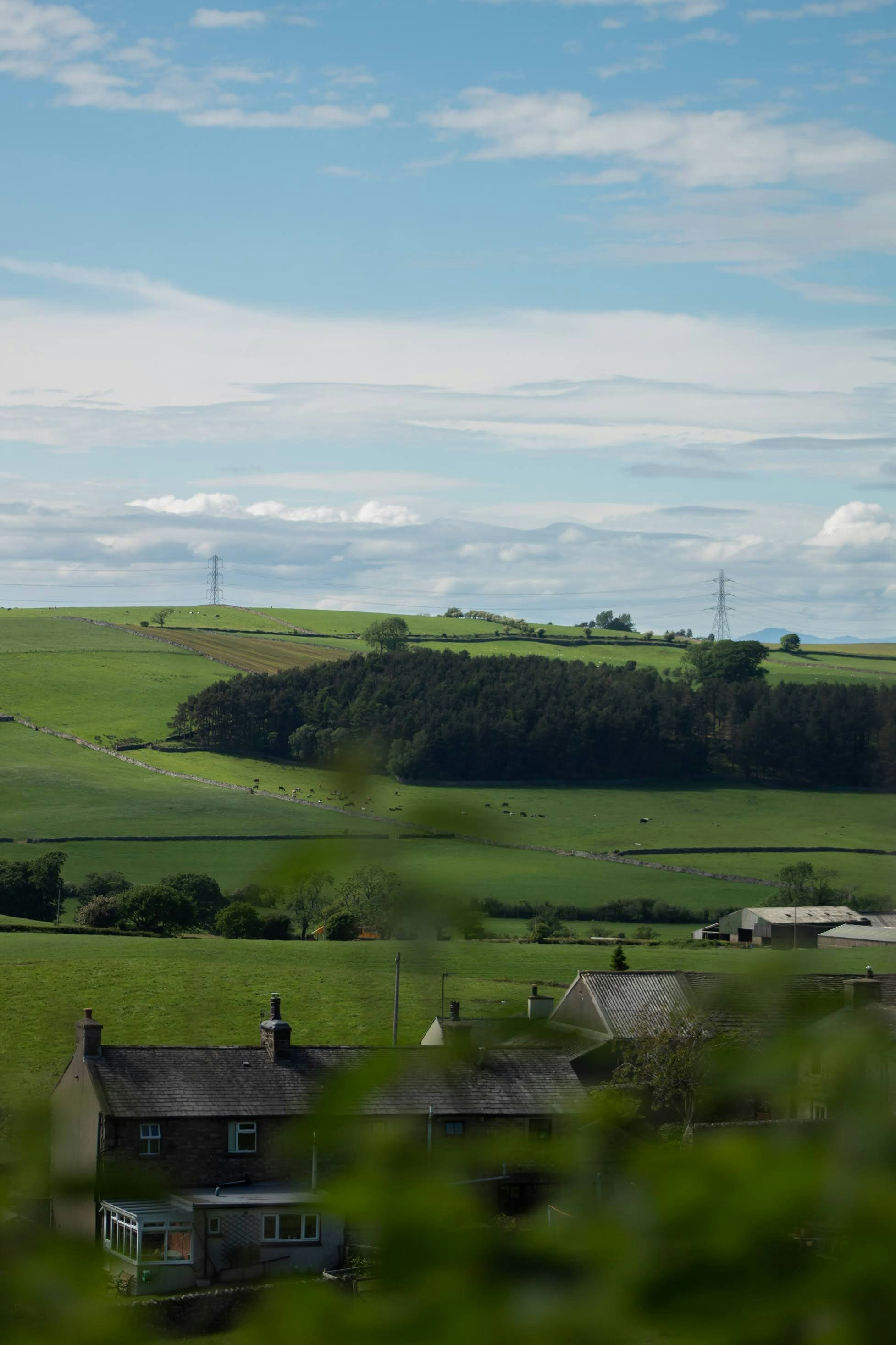 Photo by olivervineford