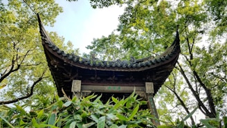 A panoramic view of a bamboo pavilion nestled in a European countryside, its curved forms blending seamlessly with the natural surroundings.