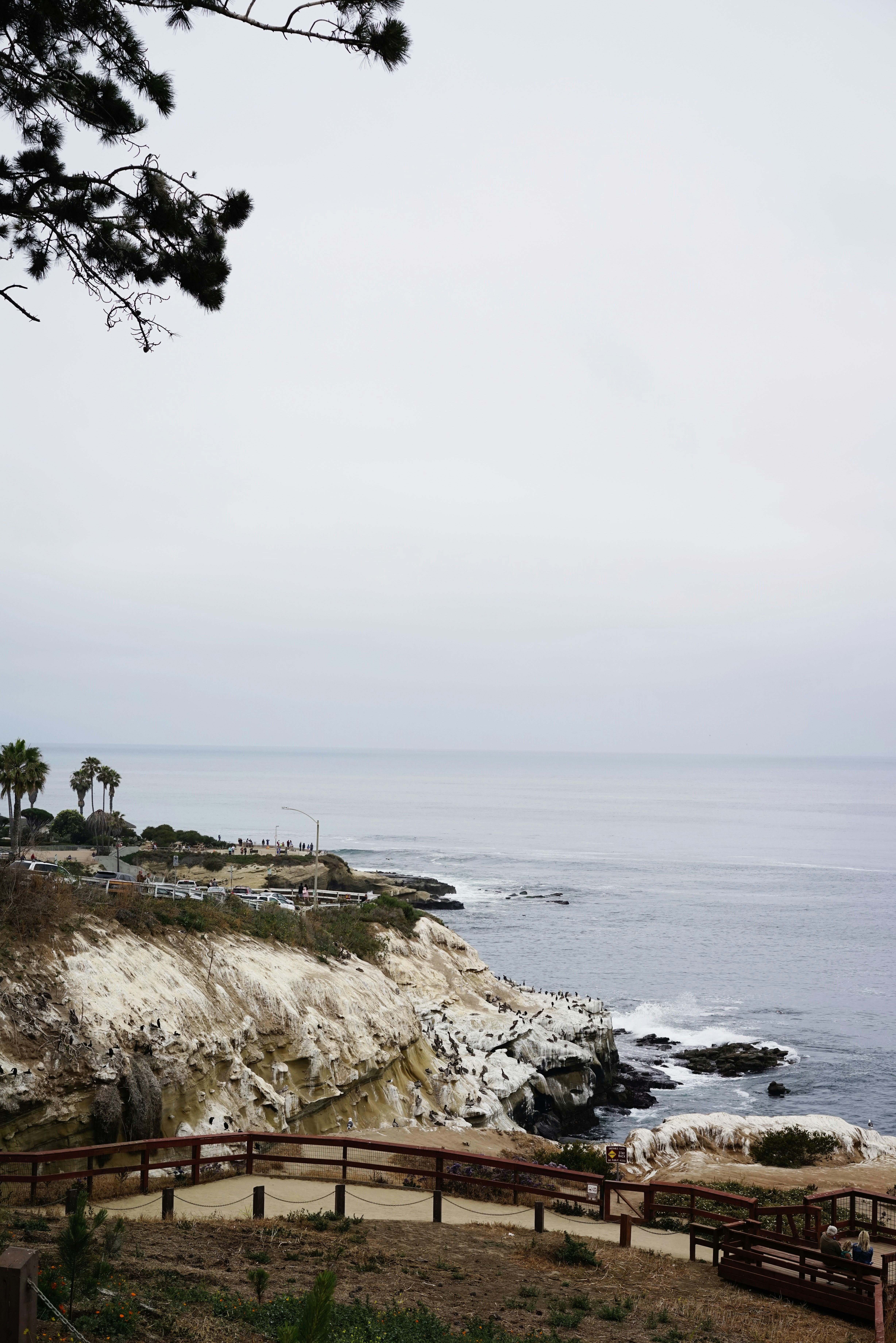 Photo by baronalloway