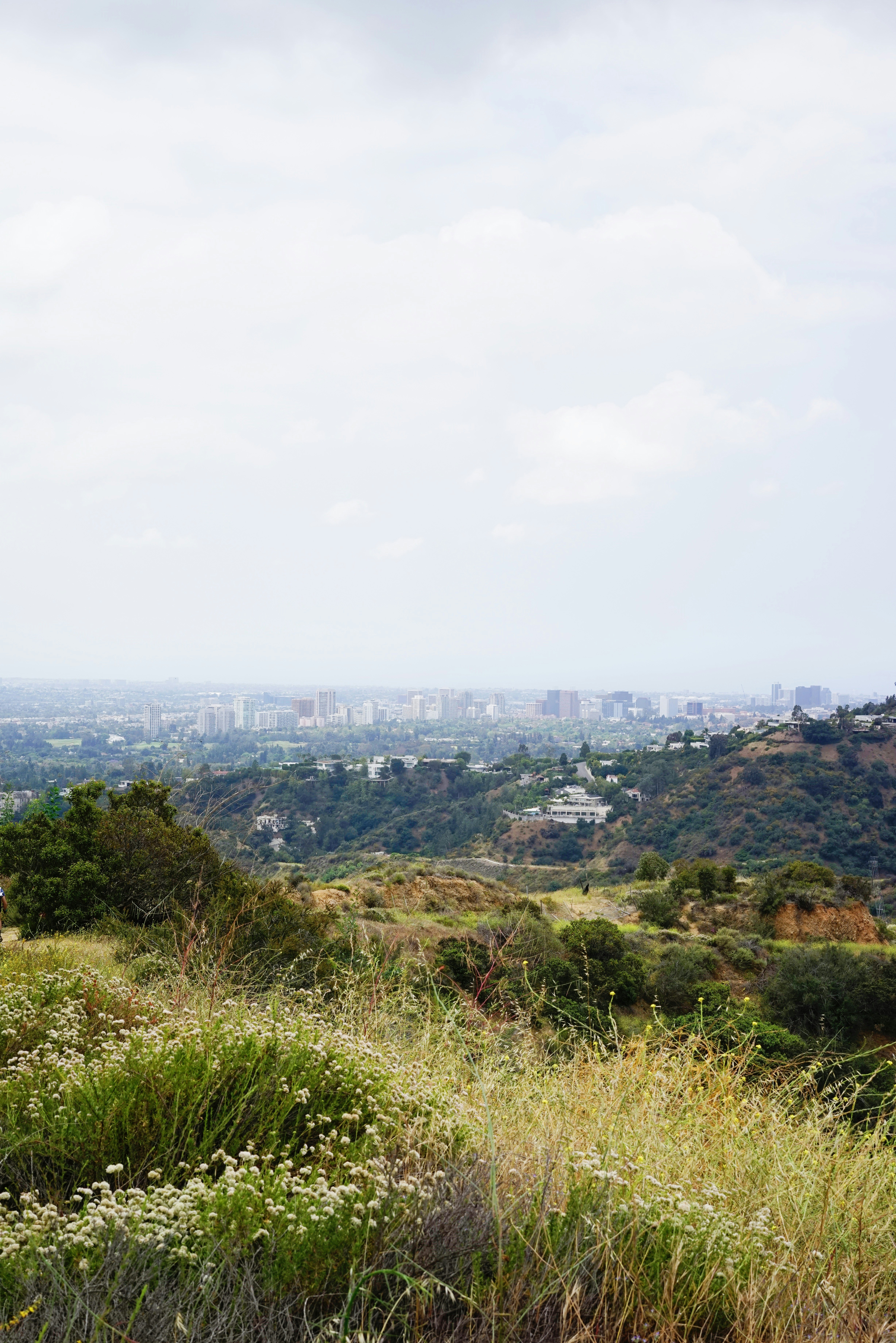 Photo by baronalloway