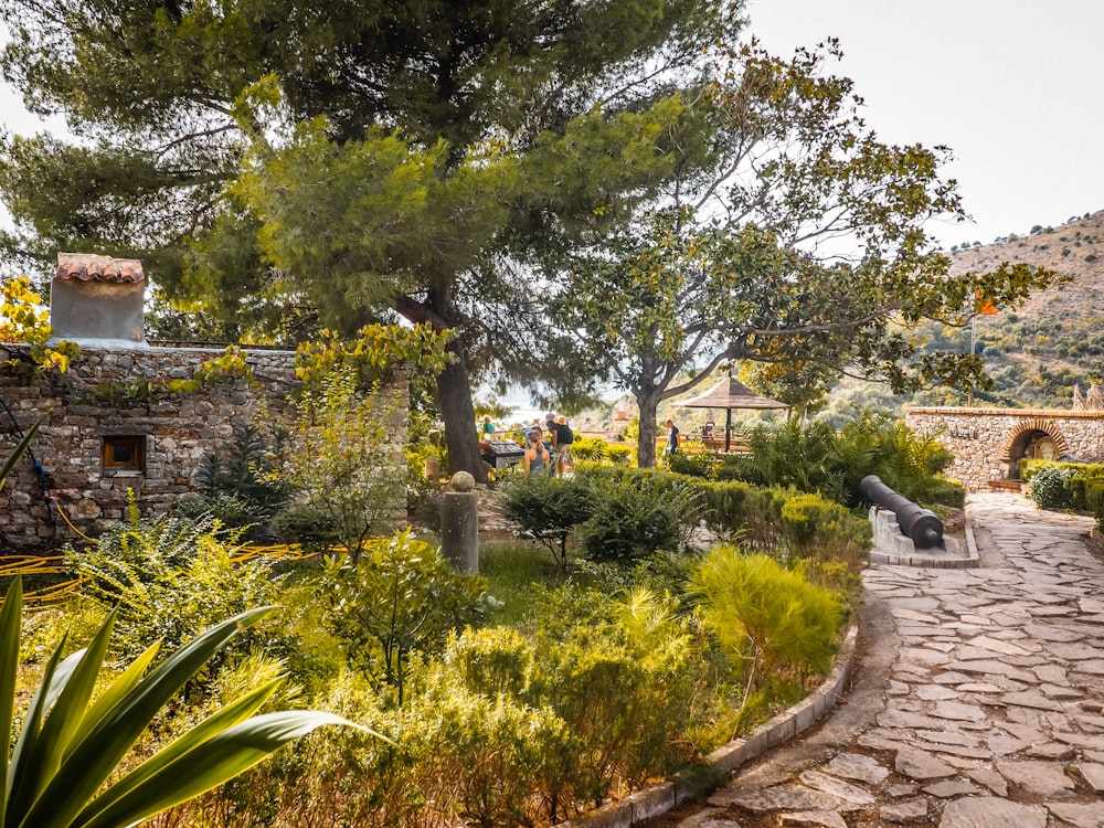 a path with trees and plants on the side