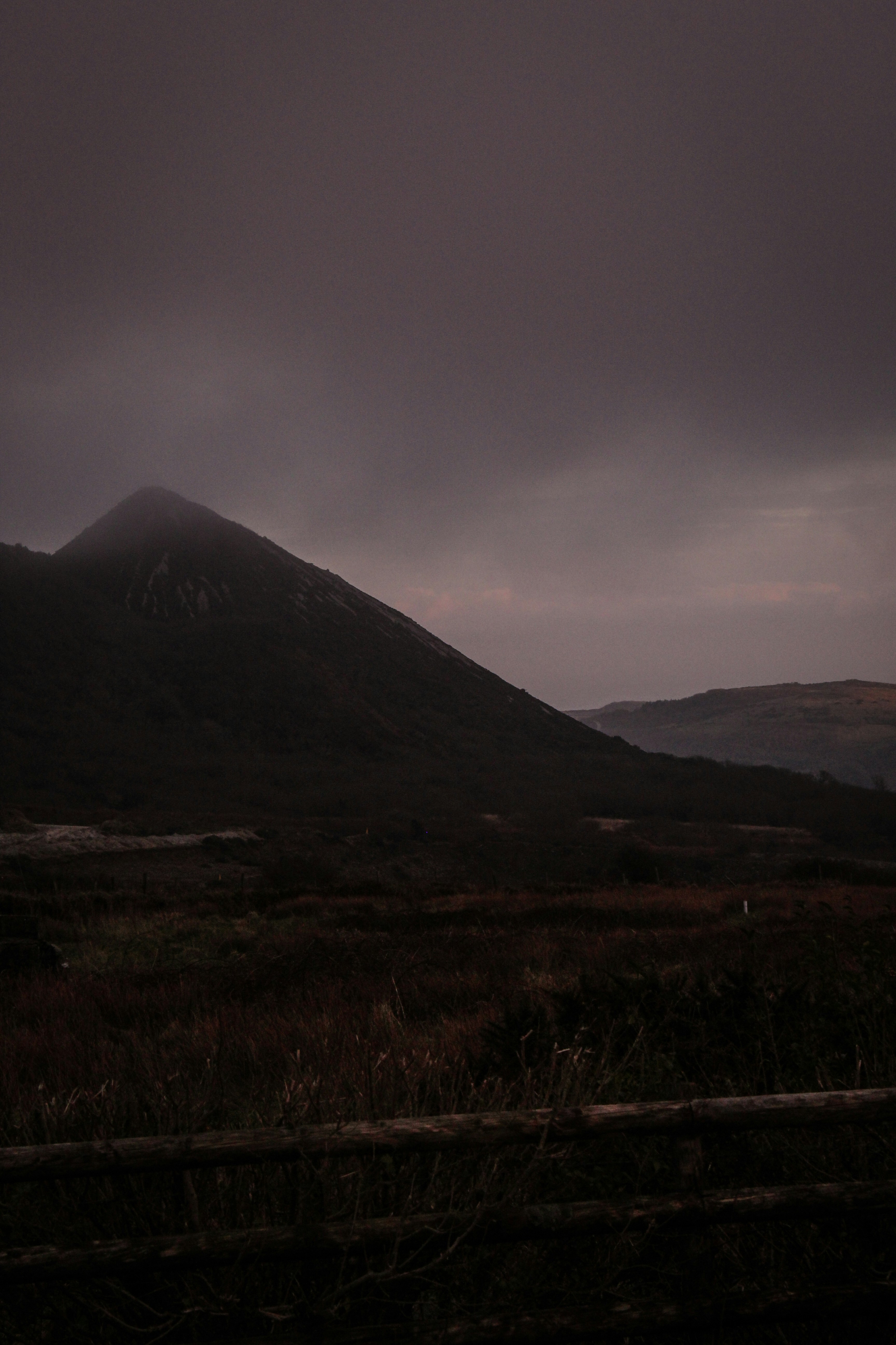 Photo by focalinsight