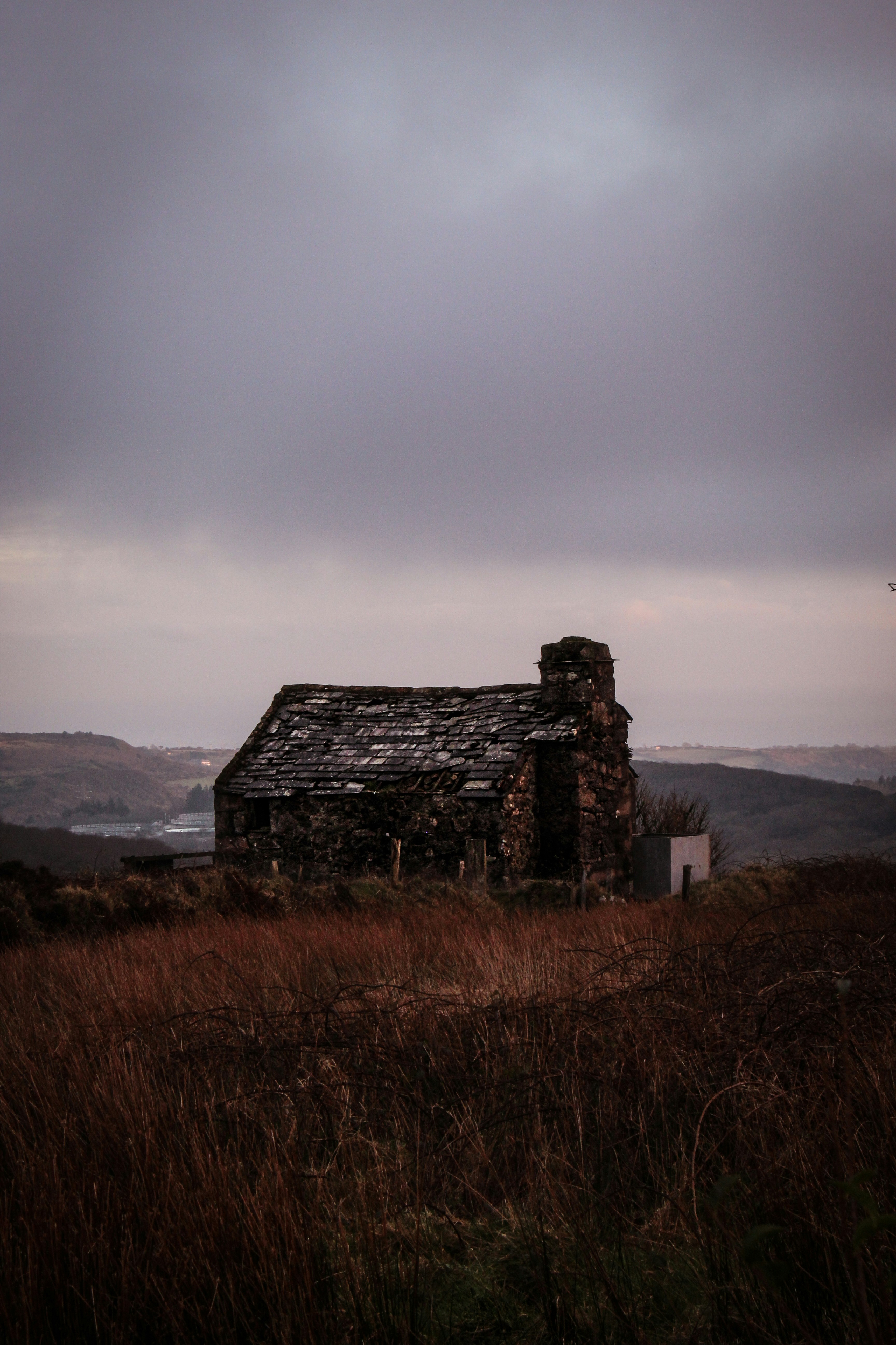 Photo by focalinsight